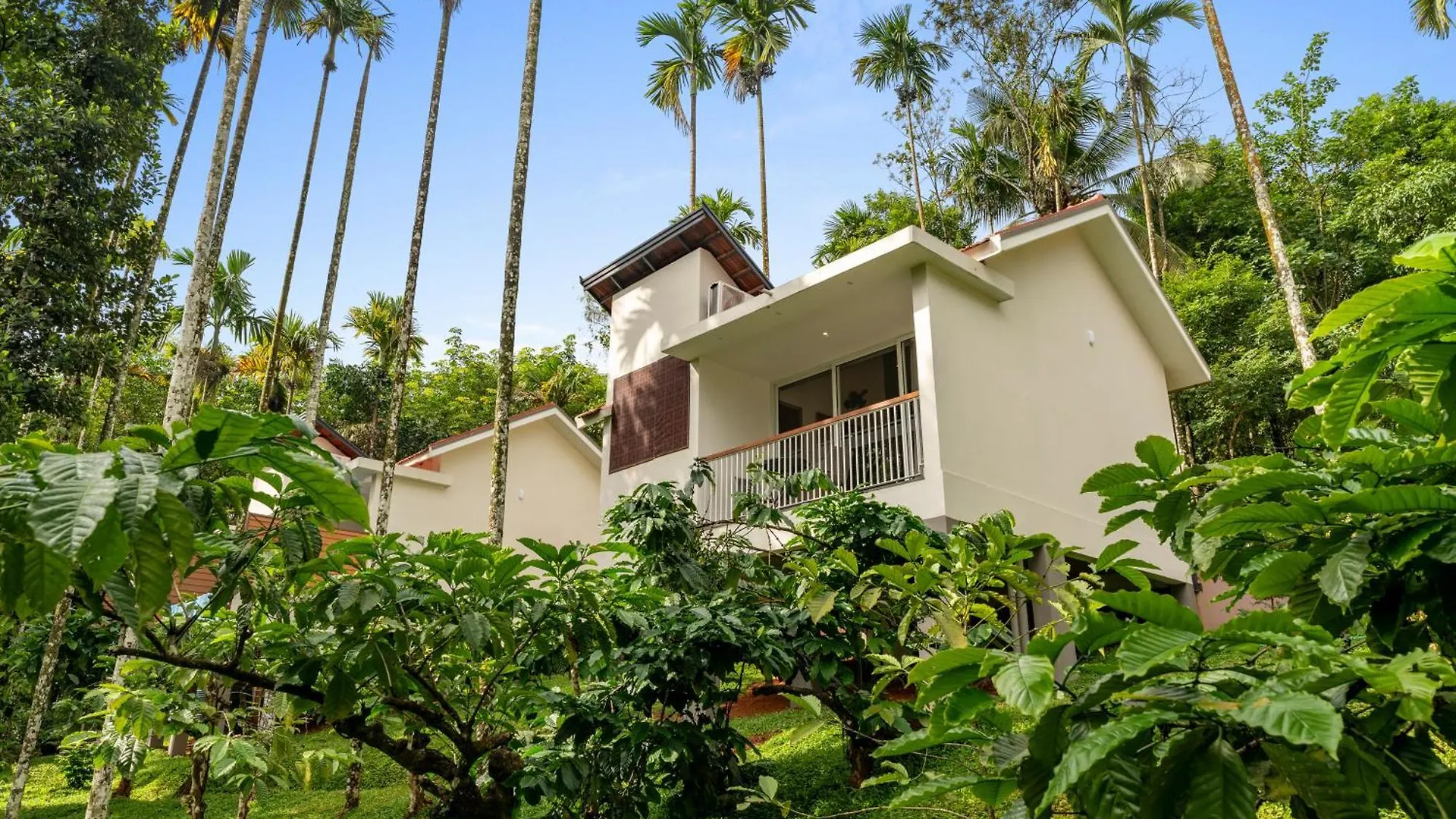 Theyila Wayanad Premium Pool Resort Sultan Bathery